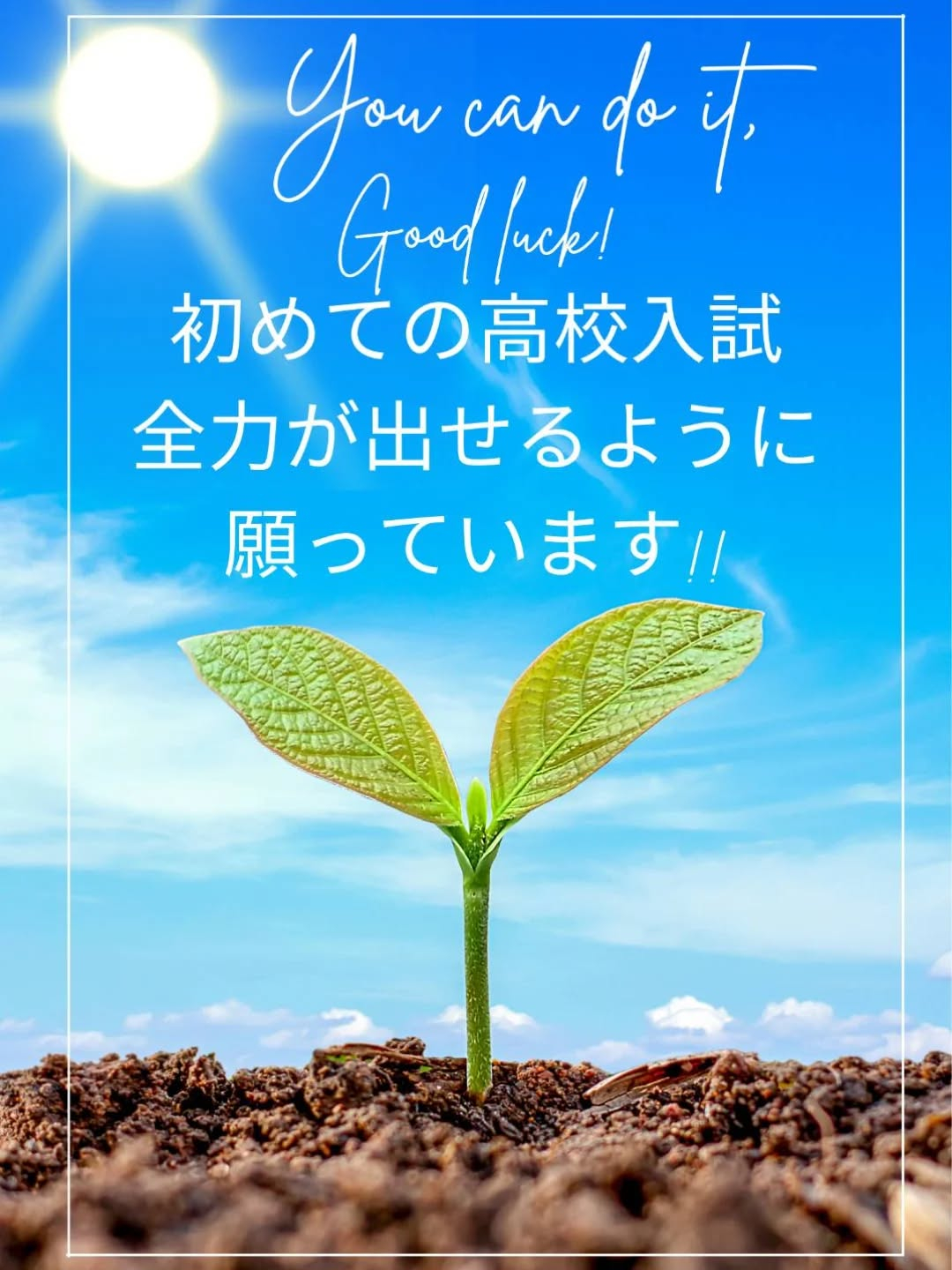 明日から、市内の中３生の多くが